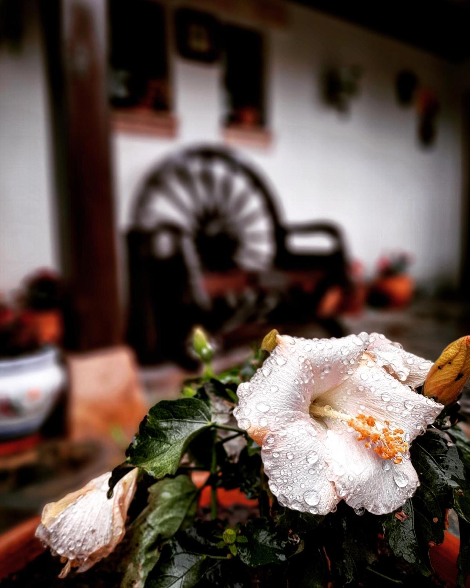 Posada Marina Suances Bagian luar foto